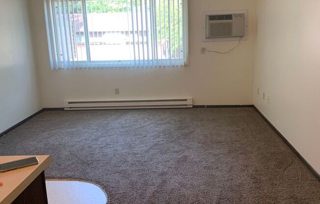 Studio, 1 bath, 325 sqft, $555, Unit 1929-15