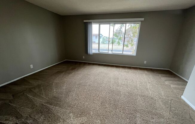 1 bed, 1 bath, 562 sqft, $2,050, Unit 138