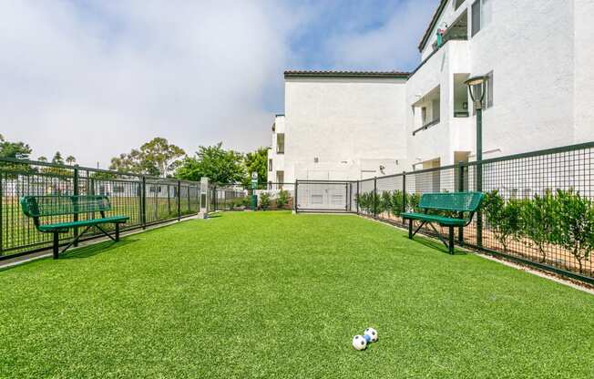 a yard with two benches and a soccer ball on the grass