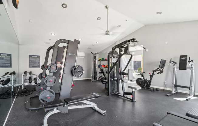 the gym is equipped with cardio equipment and weights