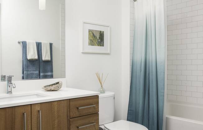 4730 California Apartments Bathroom Modern, Flat-Panel Cabinets