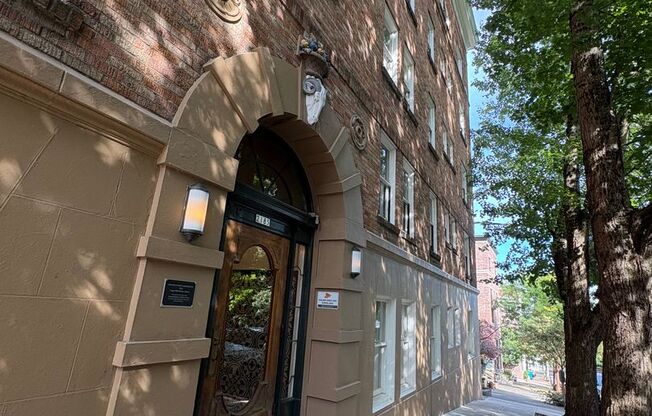 Studio, 1 bath, 440 sqft, $1,250, Unit 501