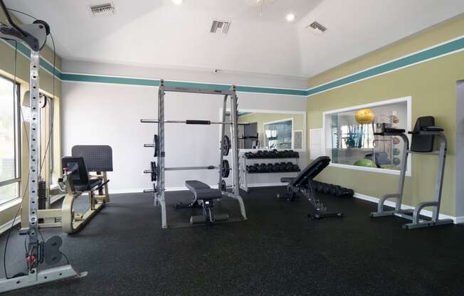 a gym with weights and other equipment in a therapy room