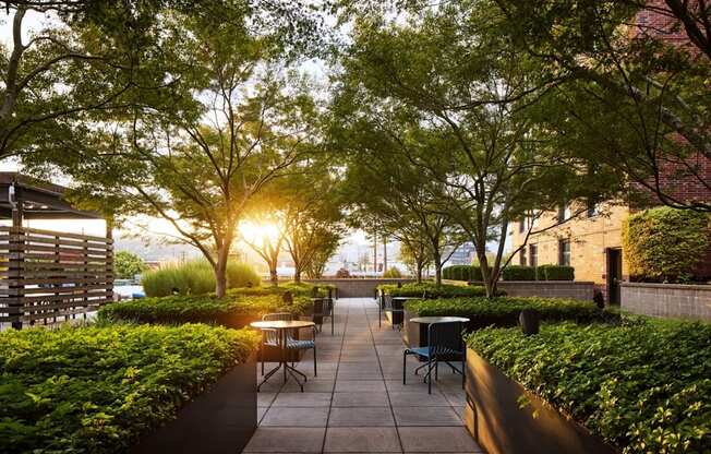 A sunny day in a park with tables and chairs.