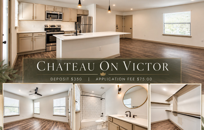 Chateau On Victor