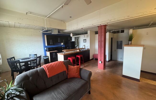 Tracy Lofts