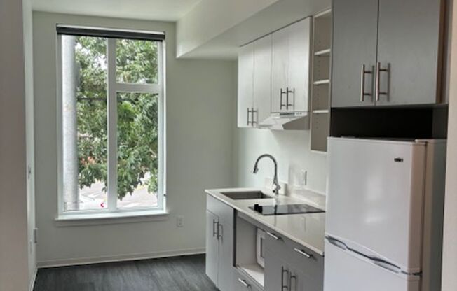 1 bed, 1 bath, 386 sqft, $1,450, Unit 407