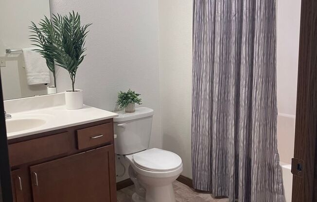 1 bed, 1 bath, 917 sqft, $1,325