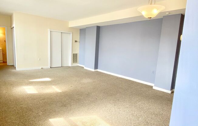 City Living!  Very Spacious 1 Bed 1 Bath With Parking!!!