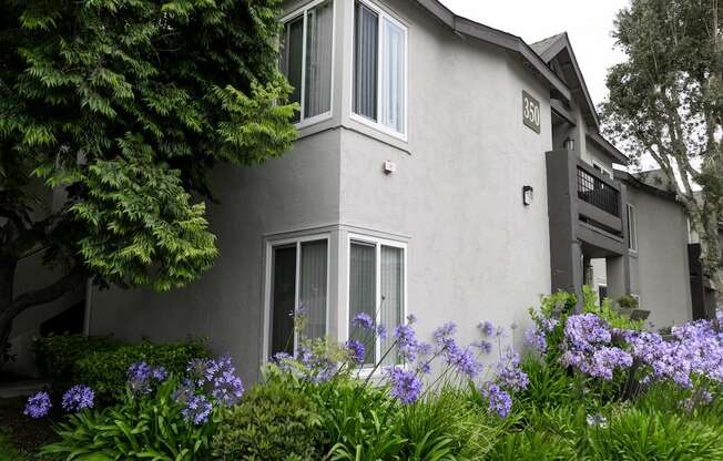 Beautiful Landscape at Canyon Club Apartments
