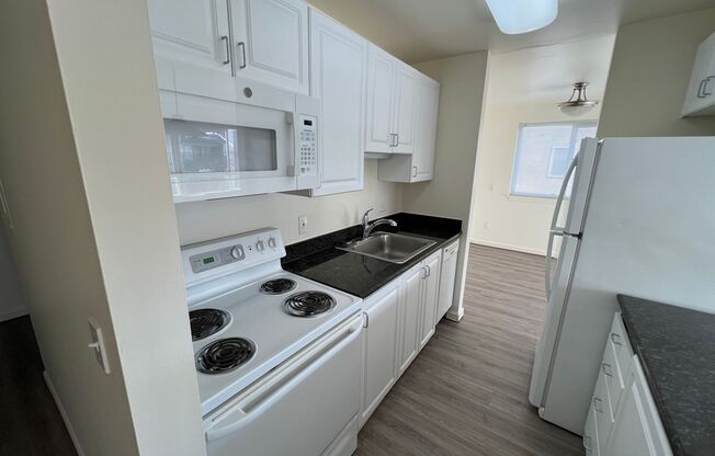 2 beds, 1 bath, 980 sqft, $2,595, Unit C-308
