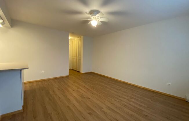 Studio, 1 bath, 332 sqft, $1,350, Unit 515