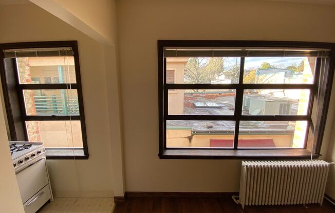 Studio, 1 bath, 350 sqft, $1,395, Unit 203 (#16)