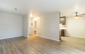 Studio, 1 bath, 451 sqft, $1,450, Unit 57