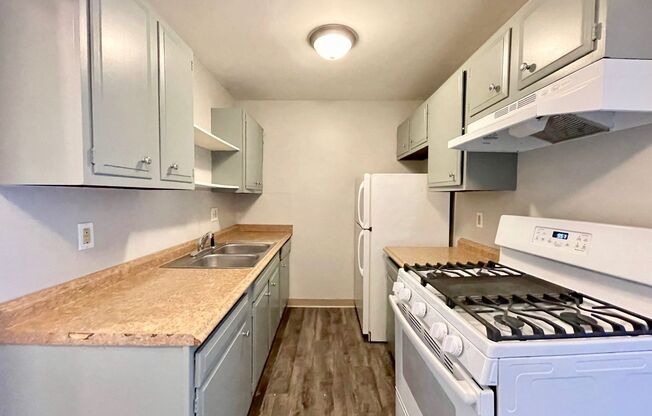 1 bed, 1 bath, 500 sqft, $895, Unit 155