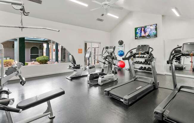 A gym with treadmills, exercise bikes, and other equipment.