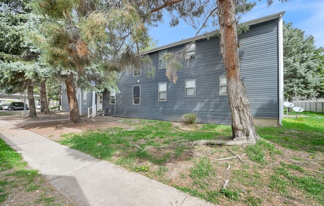 2 beds, 1 bath, 900 sqft, $1,200, Unit P-2