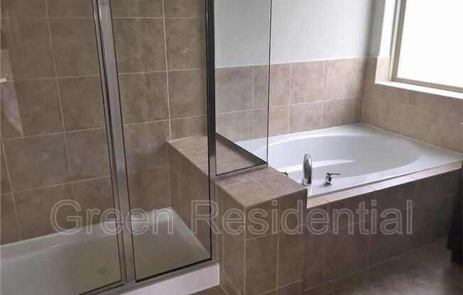 16608 SPIRIT LK CT