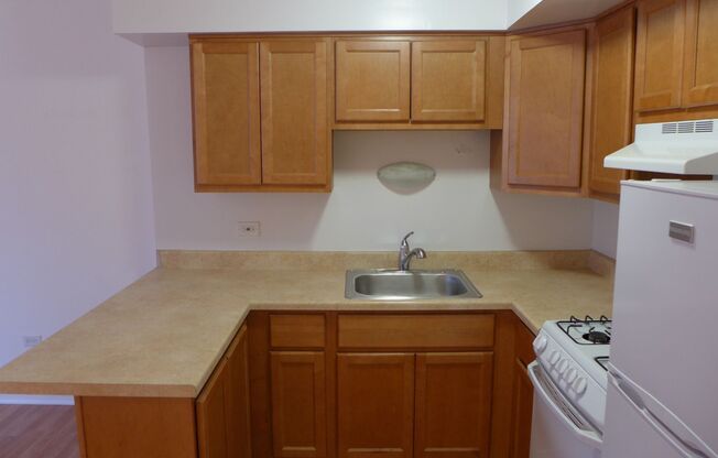 Studio, 1 bath, 400 sqft, $1,175, Unit 101