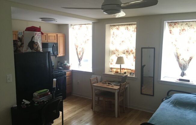 Studio, 1 bath, 208 sqft, $965, Unit 100