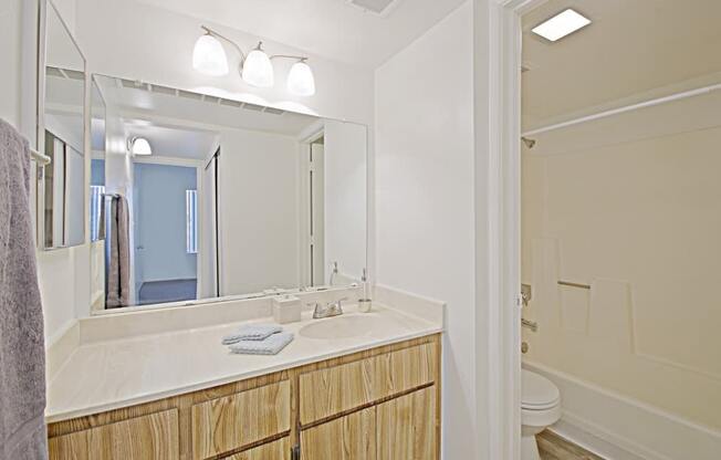 a bathroom with a sink and a toilet