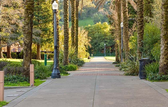 Walking Path in Park  at 215 BAYVIEW APARTMENTS, San Rafael, CA