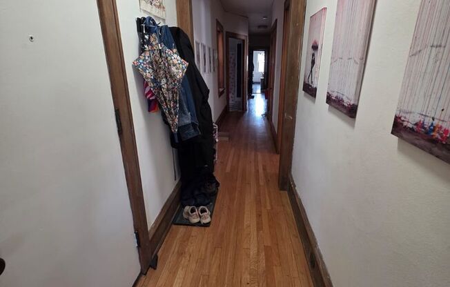 2564 Lake