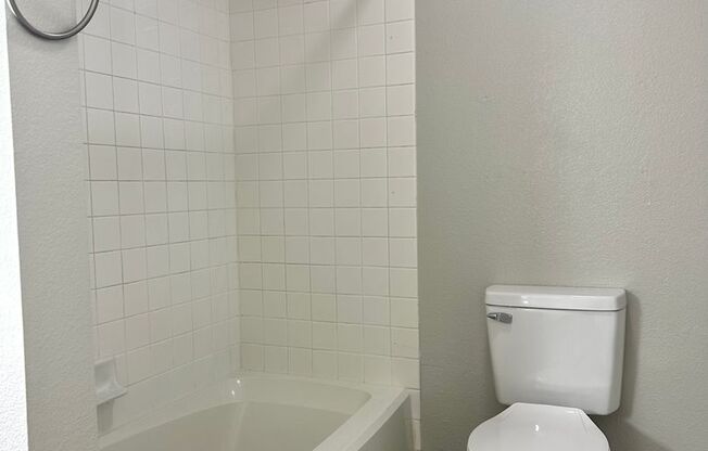 1 bed, 1 bath, $1,250