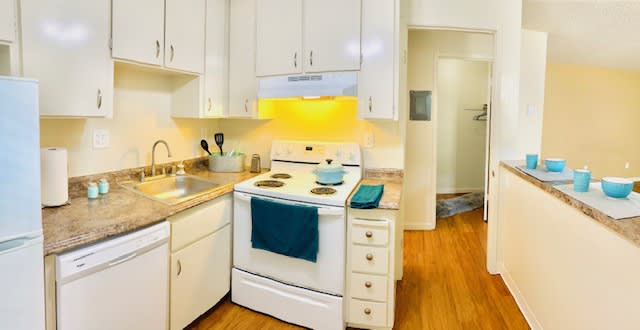 a white kitchen with a stove and a sink