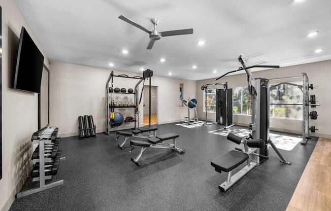 A spacious home gym with a variety of equipment including a bench press, squat rack, and a television.
