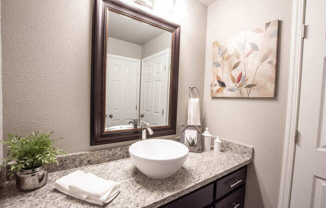 granite vanity with inset bowl sink