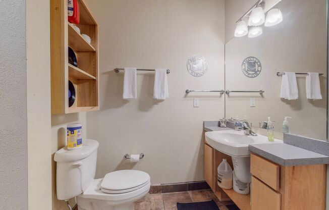 Studio, 1 bath, 600 sqft, $1,050