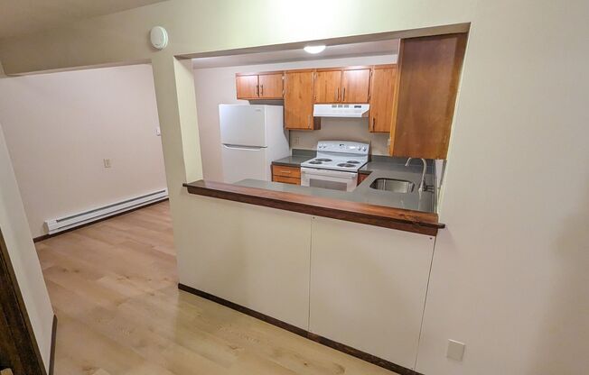 1 bed, 1 bath, 675 sqft, $1,495, Unit 17