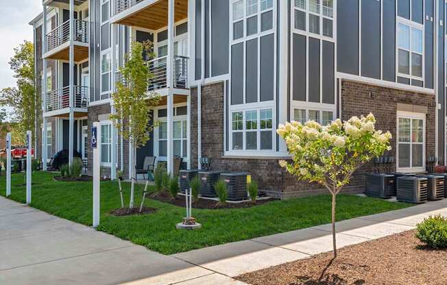 A tree with white flowers is in the front yard of a modern apartment building.