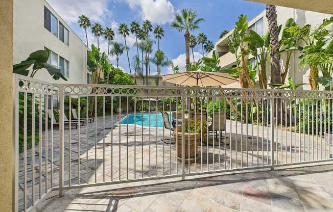 A pool surrounded by a metal fence with a palm tree in the background.