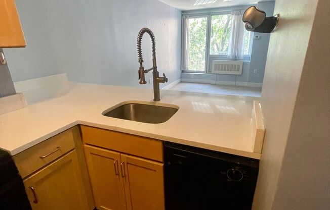 Studio, 1 bath, $1,830, Unit Apt S325