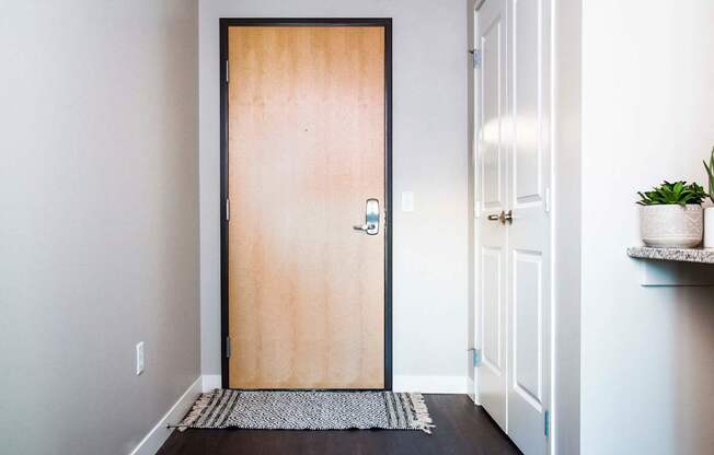 Inviting apartment entrance with stain-resistant flooring adds a practical and stylish touch, creating a welcoming and low-maintenance entryway.