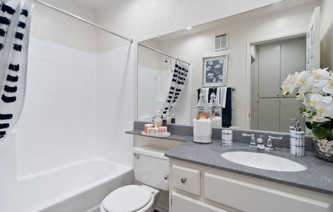 a bathroom with a sink and a bath tub and a mirror