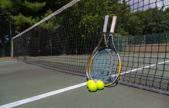 2 beds, 1 bath, 880 sqft, $1,895