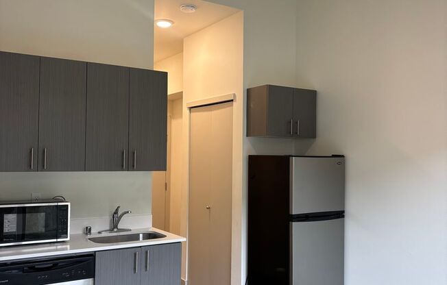 Studio, 1 bath, 249 sqft, $1,295, Unit 109
