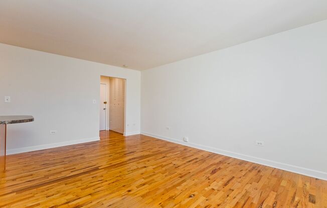 Studio, 1 bath, $1,195, Unit 510
