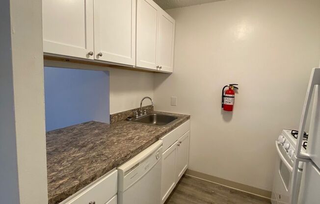 1 bed, 1 bath, $1,250