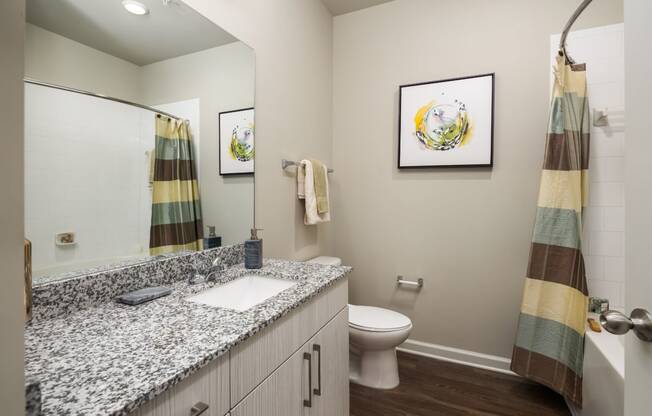Bathroom interior at Abberly Market Point Apartment Homes, Greenville, 29607