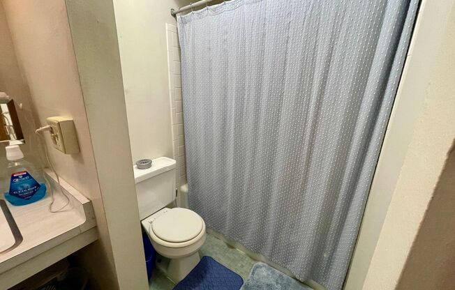 Studio, 1 bath, $895, Unit 102