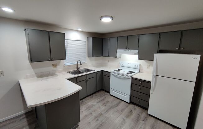 2 beds, 1 bath, 800 sqft, $1,350, Unit 902