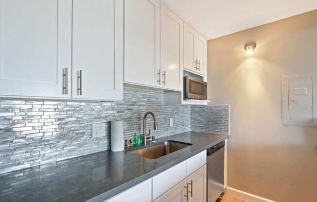 Kitchen with stainless steel dishwasher, microwave, single kitchen sink, white kitchen cabinets, tile backsplash