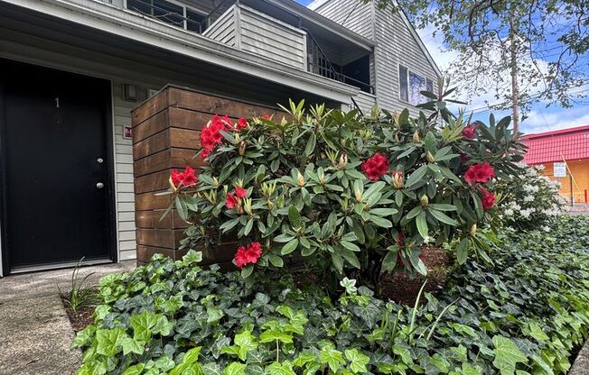 1 bed, 1 bath, $1,200, Unit 26
