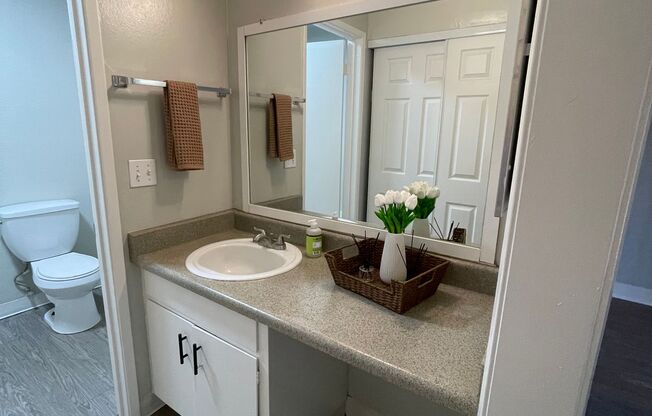 Studio, 1 bath, 366 sqft, $1,225