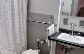 1 bed, 1 bath, 480 sqft, $3,000, Unit 12A