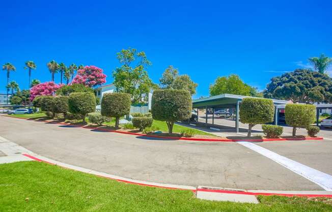 a parking lot with trees and a building in the background